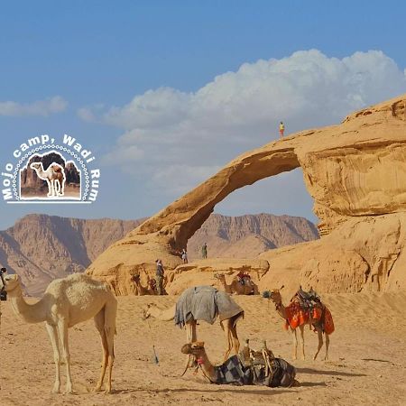Mojo Camp, Wadi Rum Ngoại thất bức ảnh