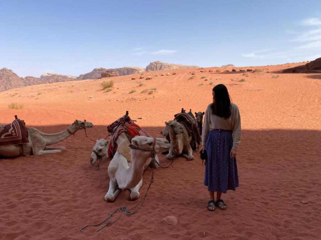 Mojo Camp, Wadi Rum Ngoại thất bức ảnh