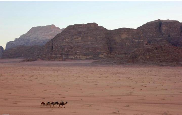 Mojo Camp, Wadi Rum Ngoại thất bức ảnh