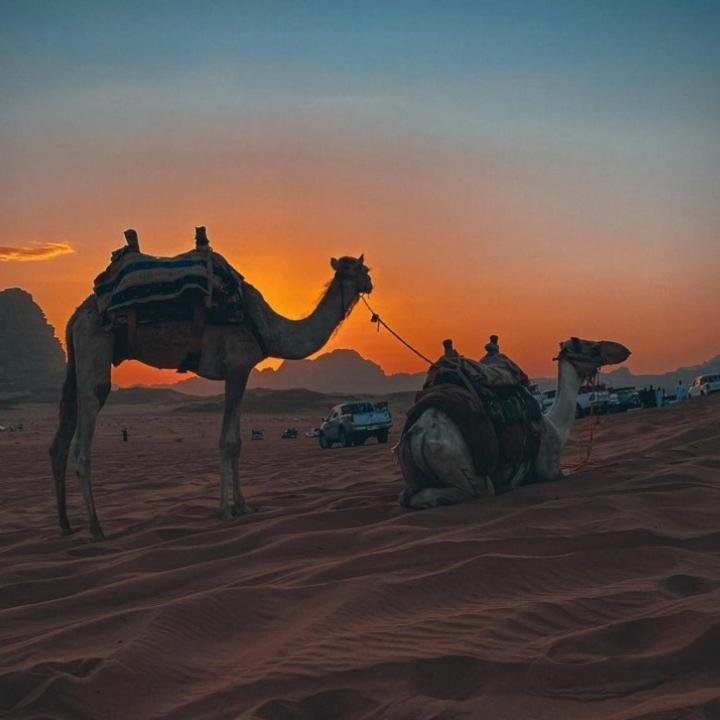 Mojo Camp, Wadi Rum Ngoại thất bức ảnh
